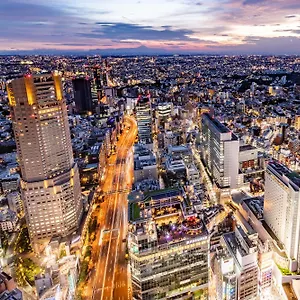 Cerulean Tower Tokyu ***** Tokyo